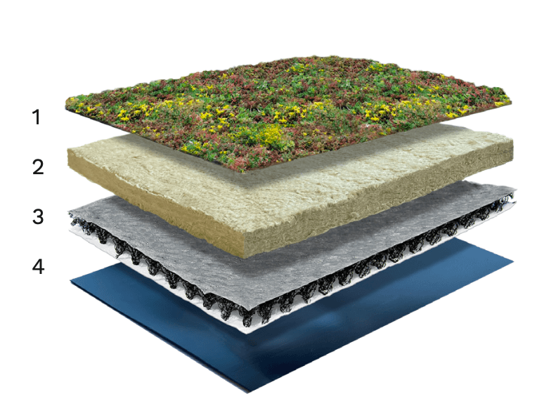 Sedumdak lichtgewicht type 20 — opbouw en doorsnede