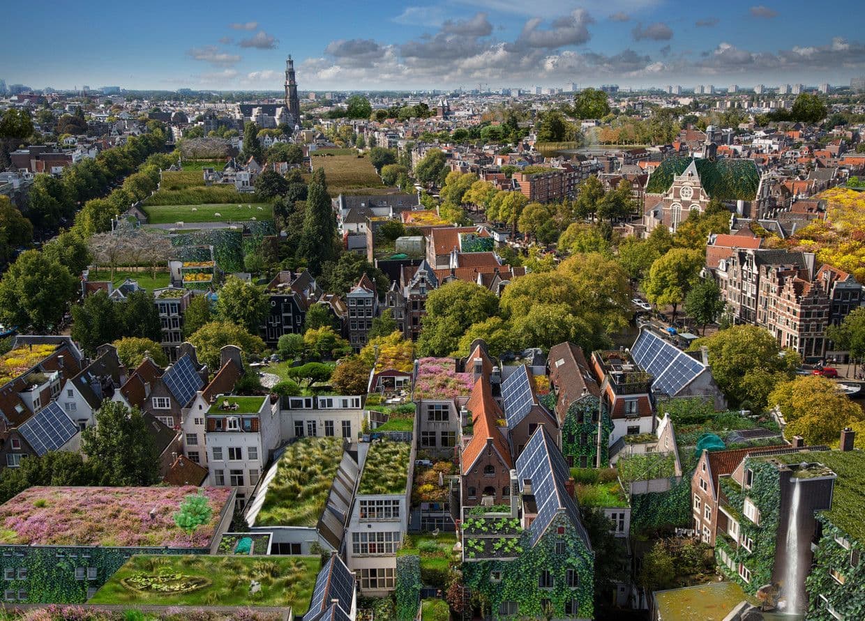 Case studies groene daken