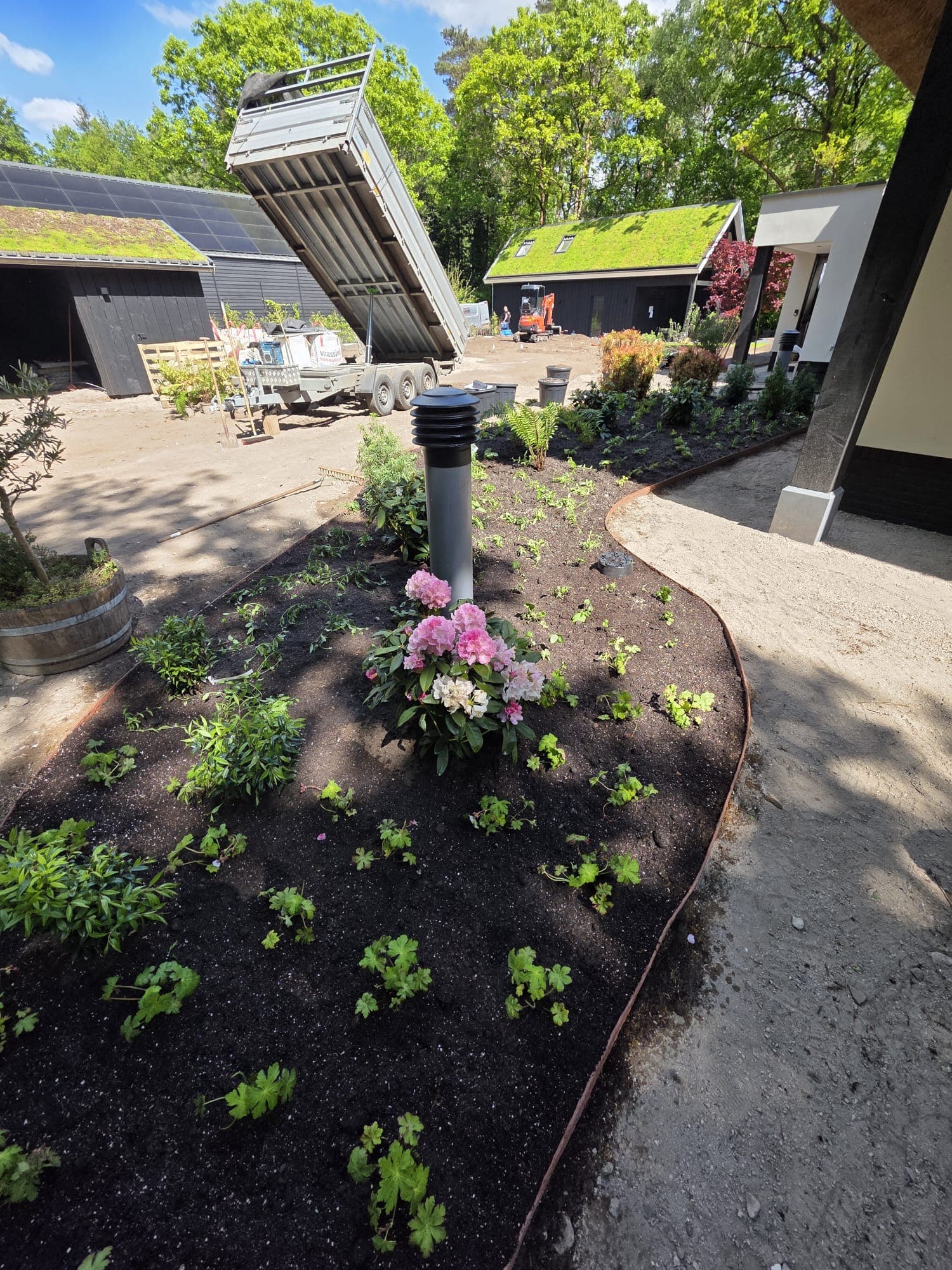 Tuinaanleg met beplanting en groendak op schuur